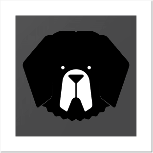 Newfoundland Dog Posters and Art